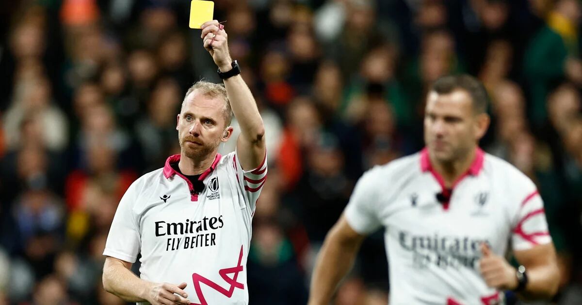 The referee who refereed the Rugby World Cup final between New Zealand and South Africa has retired
