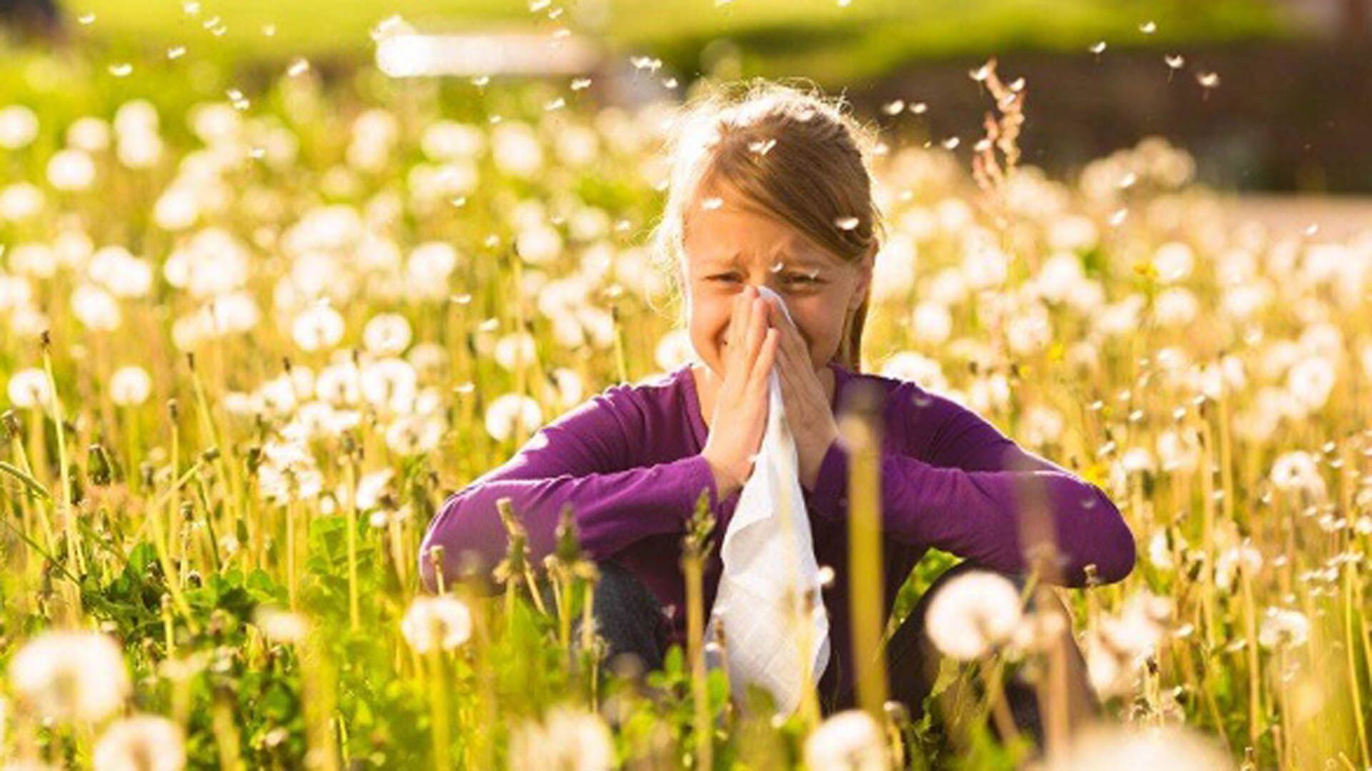 Los síntomas ocurren en respuesta al contacto con el alérgeno y aparecen de manera inmediata con picor de nariz, ojos y paladar, estornudos, rinorrea y obstrucción nasal 
(iStock)