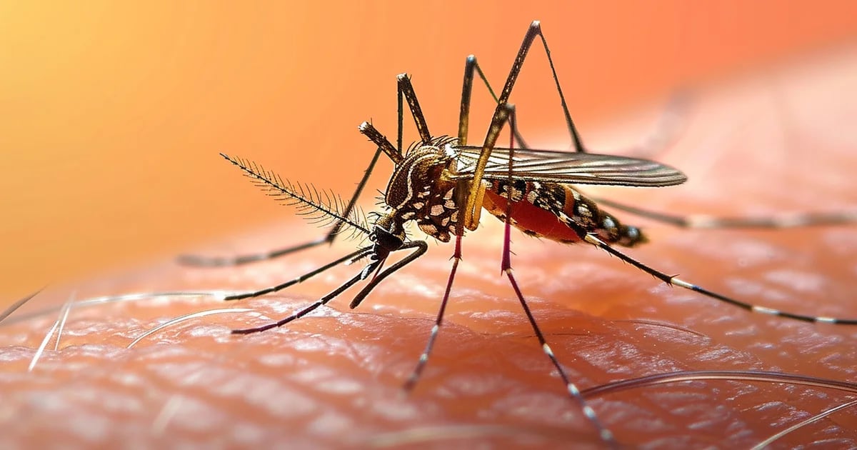 Quali sono i sintomi della febbre dengue e come possono essere alleviati?