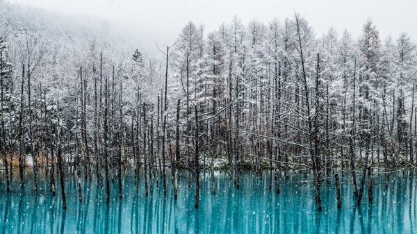 La Laguna Azul de Biei (Hokkaido) es un lugar realmente sorprendente (istock)