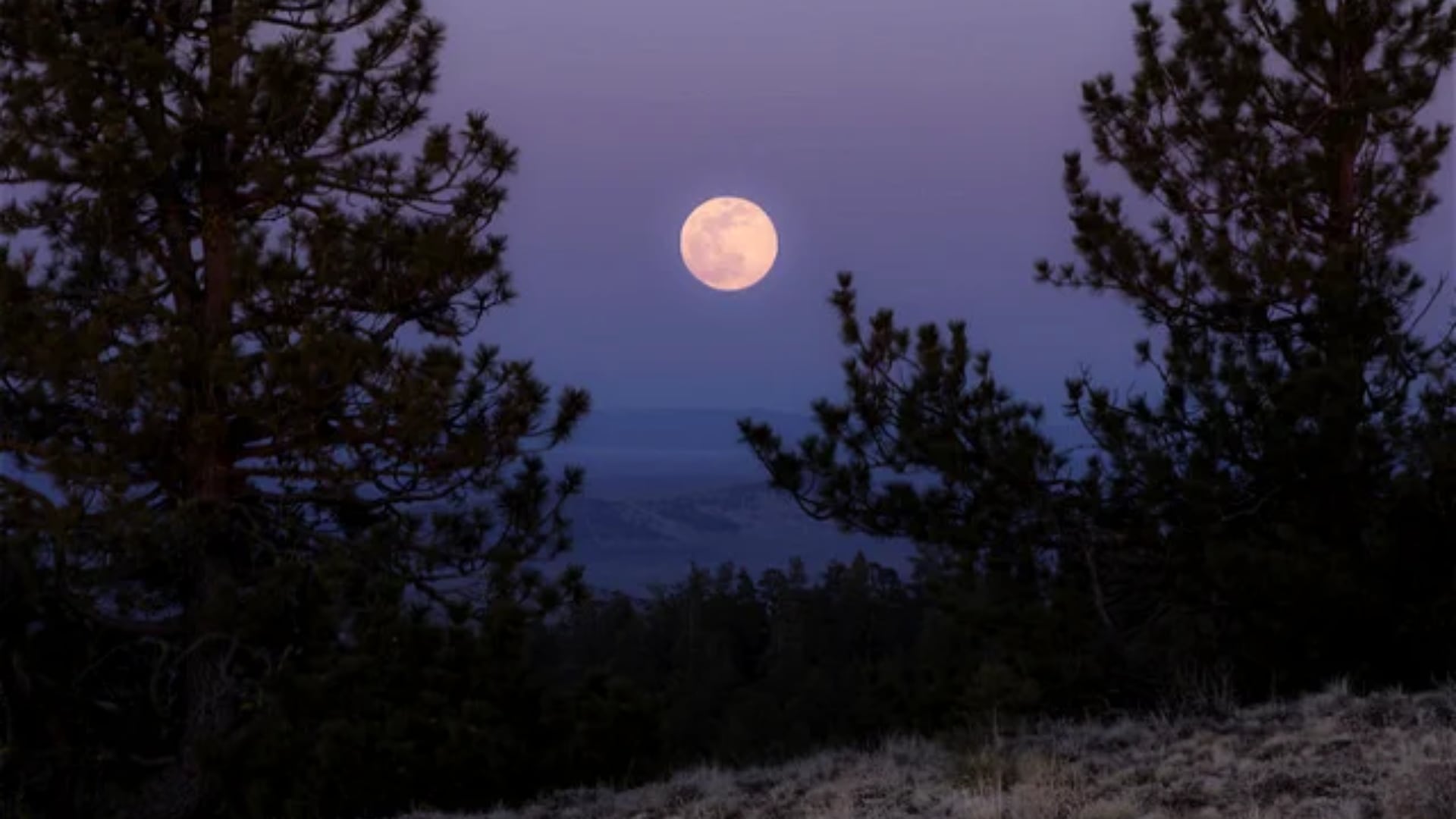 La luna llena de abril es conocida como luna rosa.