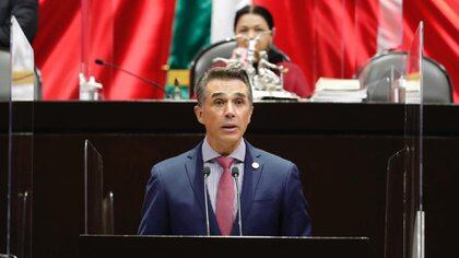 El legislador morenista Sergio Mayer se expresó públicamente por separar a Huerta para que enfrente las acusaciones "sin privilegios ni fuero" (Foto: Cortesía Cámara de Diputados)