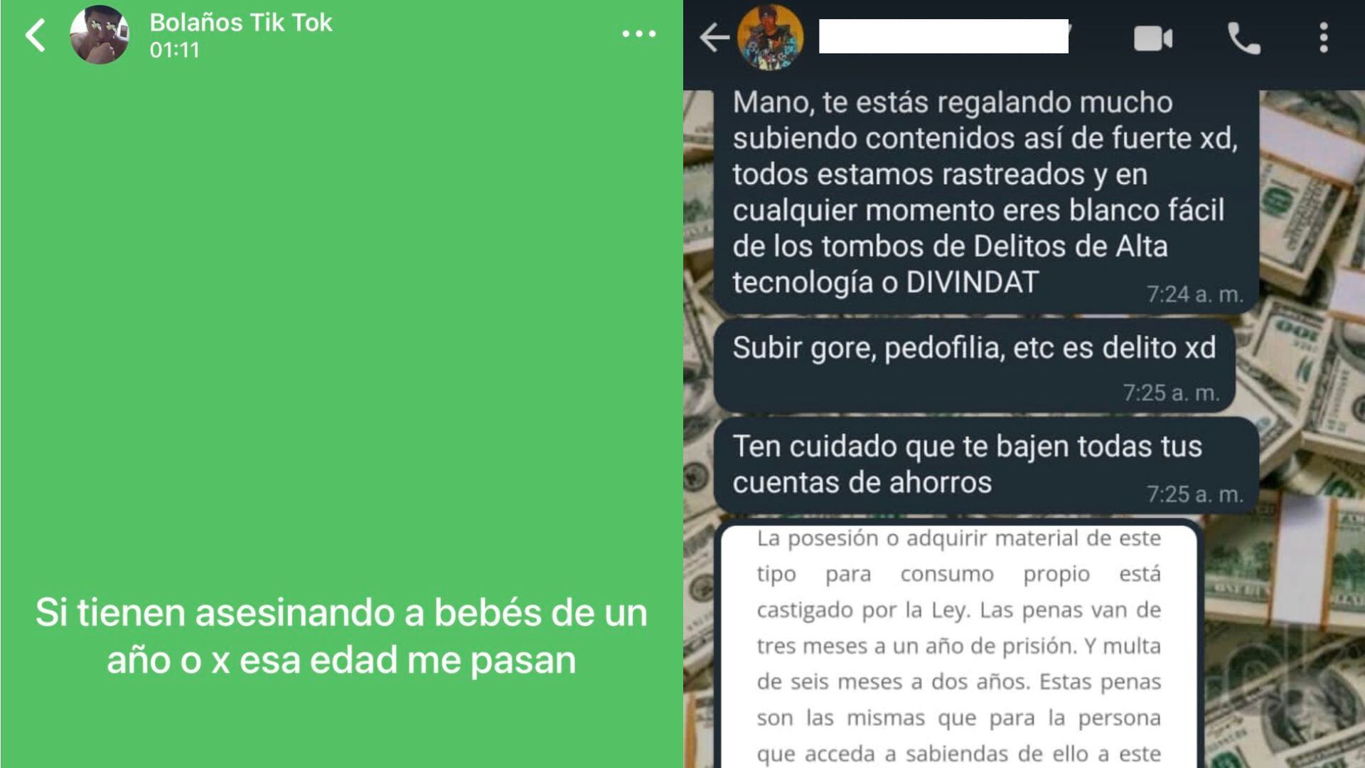 Uno de sus seguidores le escribe al creador del contenido, por interno, para advertirle que difundir videos gore y de pedofilia es delito. (Twitter)