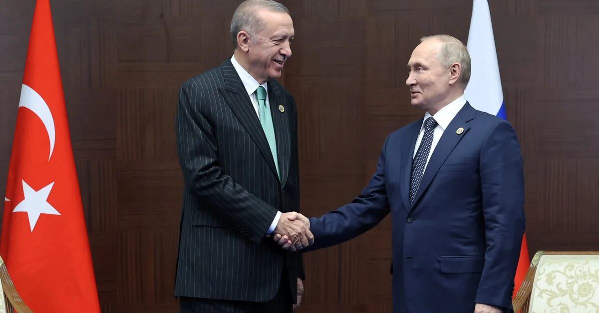 Der türkische Präsident Erdogan hat sich mit Putin getroffen, um um einen Waffenstillstand in der Ukraine zu bitten