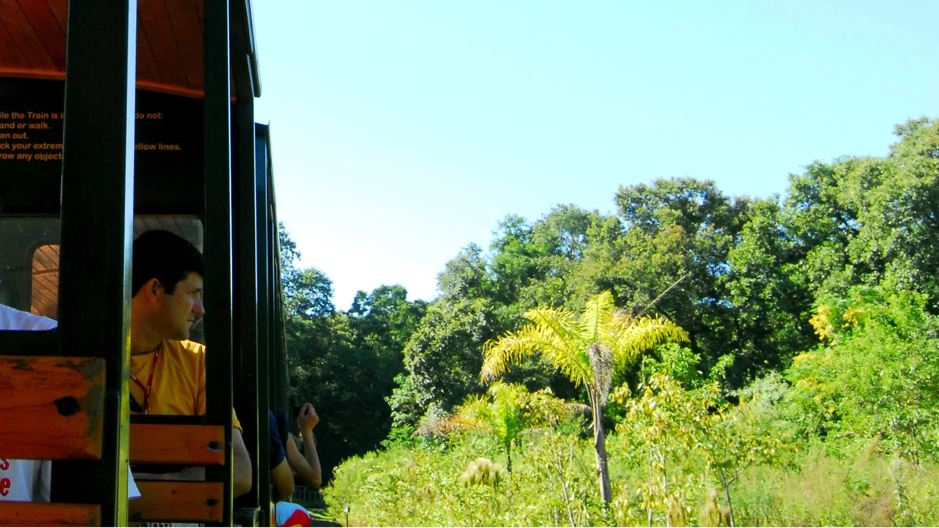 Tren ecológico de la selva. El Parque Nacional Iguazú es Patrimonio Mundial y las Cataratas, una de las nuevas maravillas naturales del mundo. Hay una forma de conocerlo desde un punto de vista distinto y es en un tren ecológico. Recorre 7 kilómetros de selva y llega a la pasarela que conduce a los balcones hasta casi el borde del salto más imponente y alto: la Garganta del Diablo