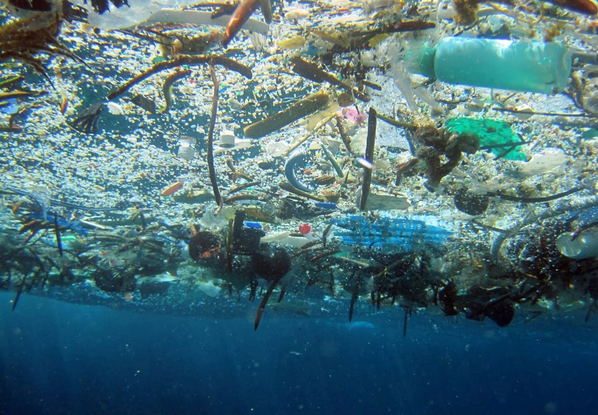 En los últimos 40 años, la cantidad de basura marina -solo en la capa superficial- aumentó más de un 100%