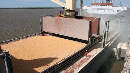 Las exportaciones del complejo sojero fueron récord en el primer trimestre del presente año.
