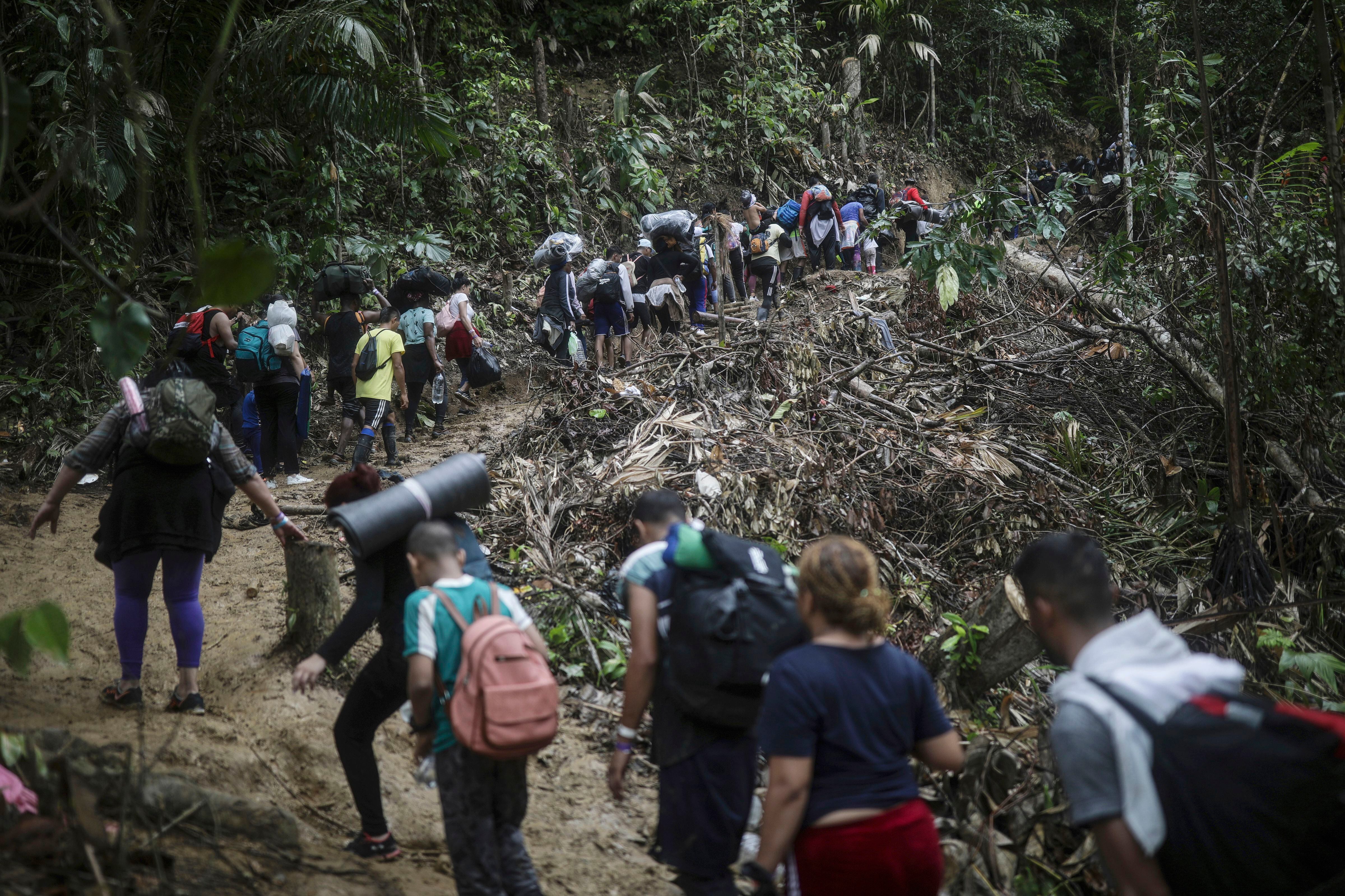 Colombia y Panamá están fallando en dar protección a los miles de migrantes que cruzan la peligrosa jungla del Darién, como paso previo para avanzar hasta Estados Unidos, y que están más expuestos a los asaltos y la violencia sexual, de acuerdo con un informe de la organización Human Rights Watch publicado el 3 de abril de 2024 (AP Foto/Iván Valencia)
