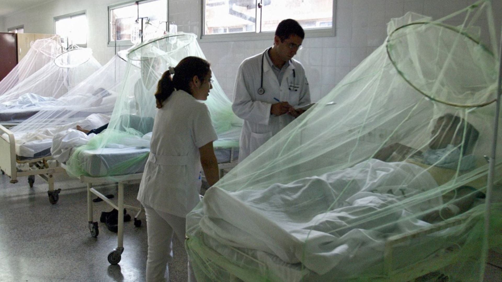 Según la OMS, "la incidencia del dengue se ha incrementado en las Américas en las últimas tres décadas, en tanto pasó de 16,4 casos por 100 mil personas en los años 1980, a 218,3 casos cada 100 mil durante la década 2000-2010"
(Andina)