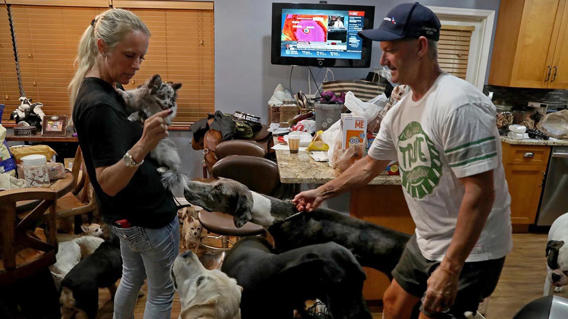Esta pareja refugió a 46 mascotas durante el huracán Irma (Ron Levine)