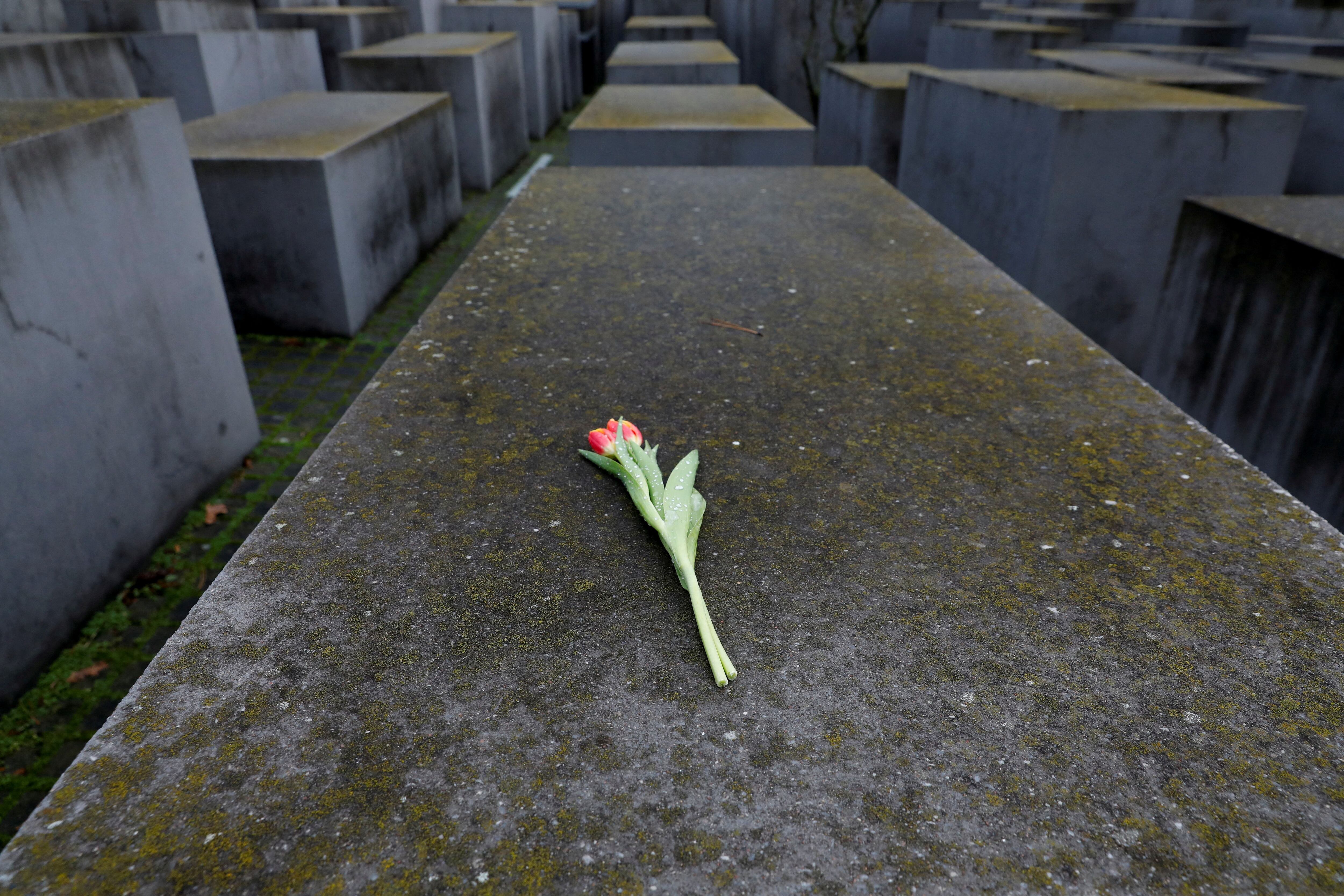 Una flor descansa sobre el monumento conmemorativo del Holocausto, en Berlín, Alemania (Reuters)