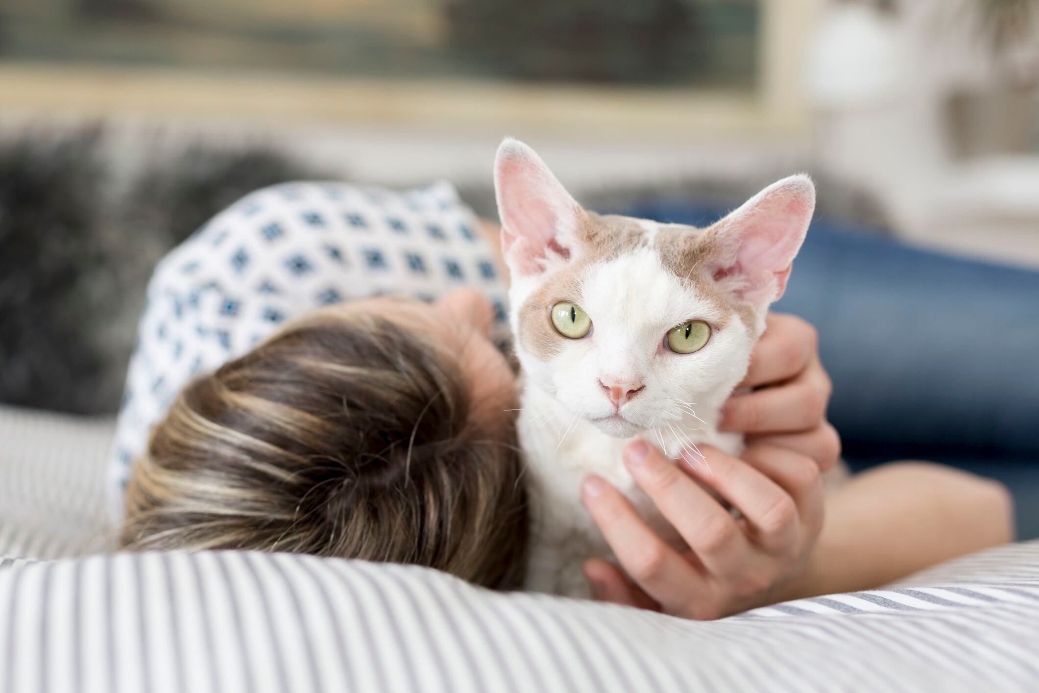 Adoptar es una de las mejores decisiones que podemos tomar para nuestra felicidad y la del gato (Getty)