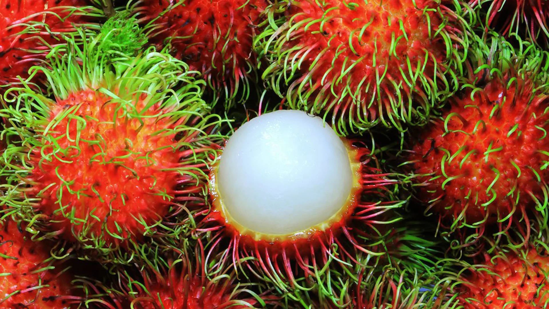 19 frutas exóticas que possivelmente desconhece