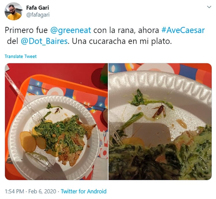 Según el joven afectado, la empresa culpó al shopping por no realizar las fumigaciones correspondientes