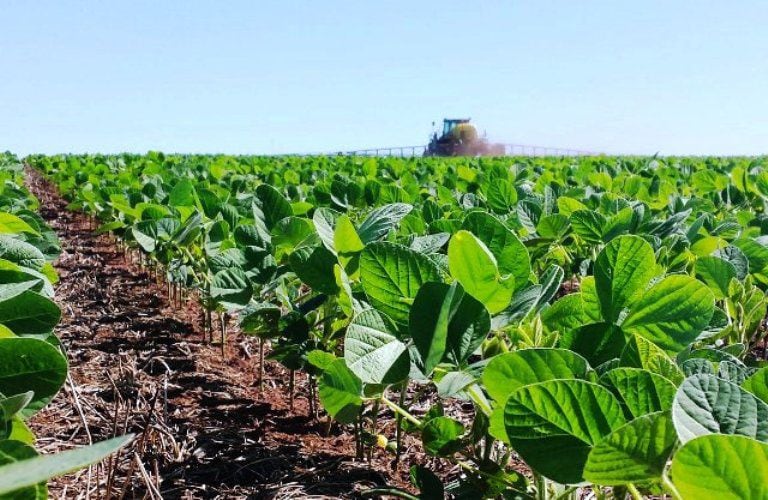 Sigue el malestar de los productores por la política agropecuaria del Gobierno de Alberto Fernández. 