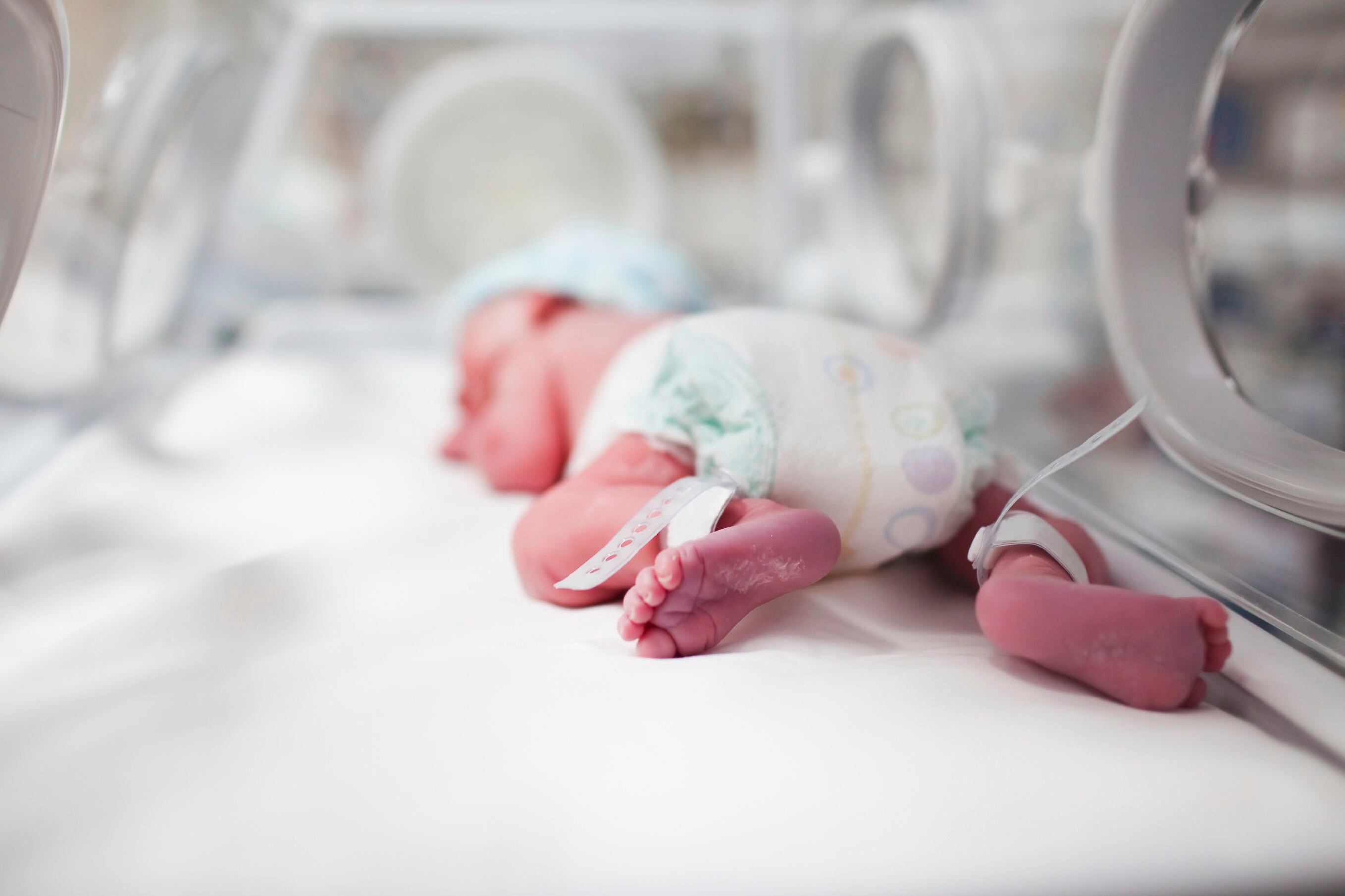 Pese a las creencias previas, los recién nacidos sienten dolor como los adultos, advierten las más recientes investigaciones
