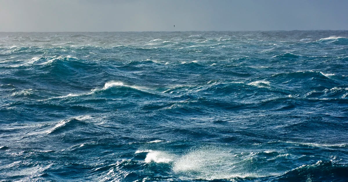 The ability of the oceans to absorb carbon dioxide is in danger