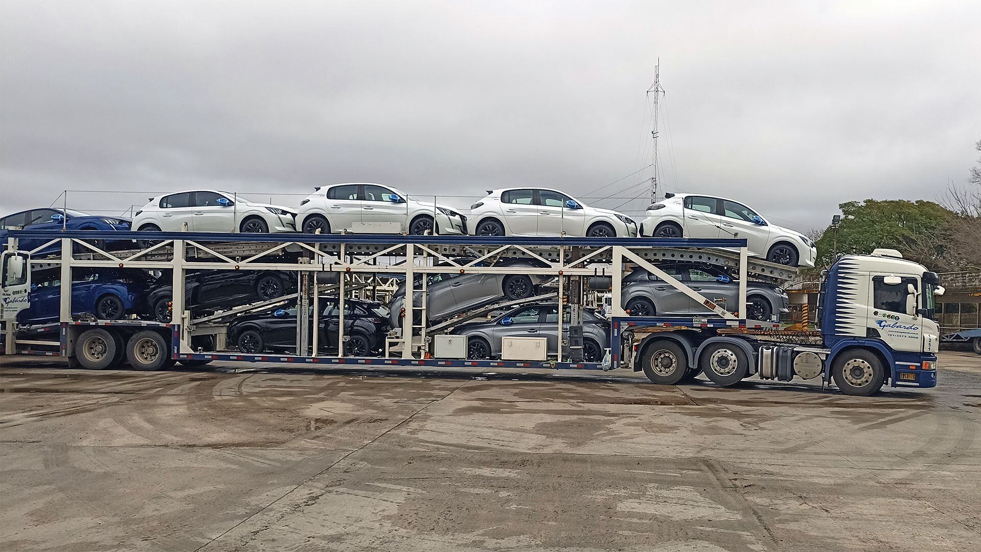 Cada vez más camiones salen de Palomar transportando Peugeot 208 con destino a Brasil