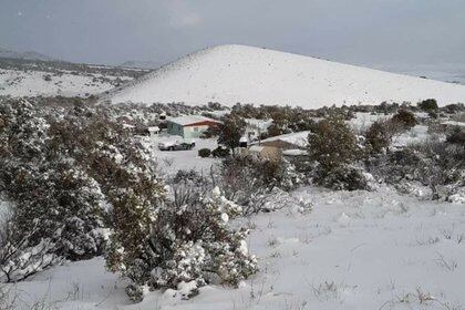 La nieve cayó en diversos puntos de Sonora, en la zona norte Foto: Twitter: Webcams de mexico /Borderlinea)