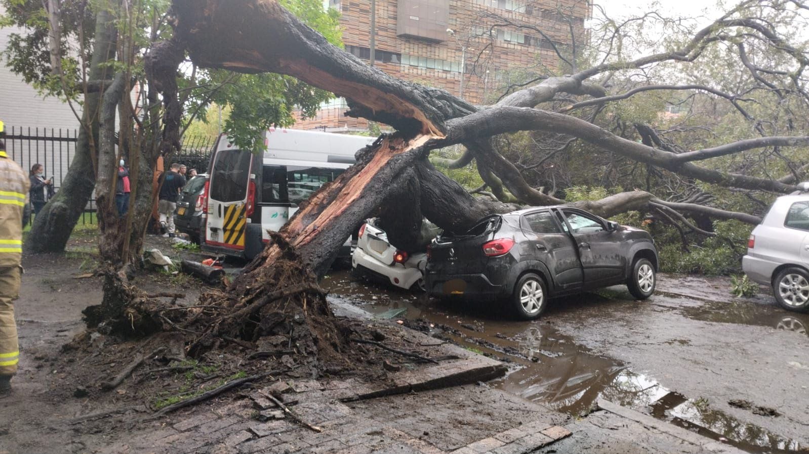 El enorme árbol generó afectaciones en los vehículos que se encontraban en la zona - crédito Bomberos de Bogotá / X
