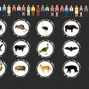 Por qué las nuevas enfermedades surgen en China: una explicación en video