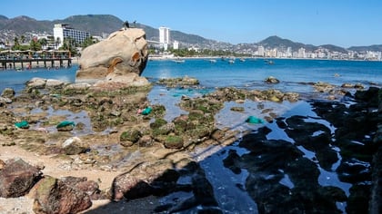 Varios destinos de playa planeaban reaperturas limitadas incluso la próxima semana. EFE/David Guzmán
