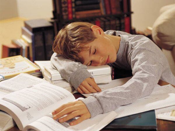 El descanso es fundamental para que los niños puedan estar bien predispuestos al estudio