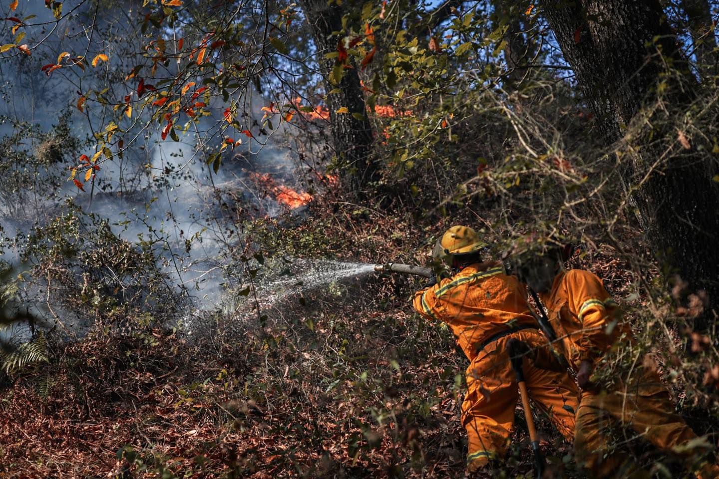 Feu de forêt, Santiago, Nuevo León