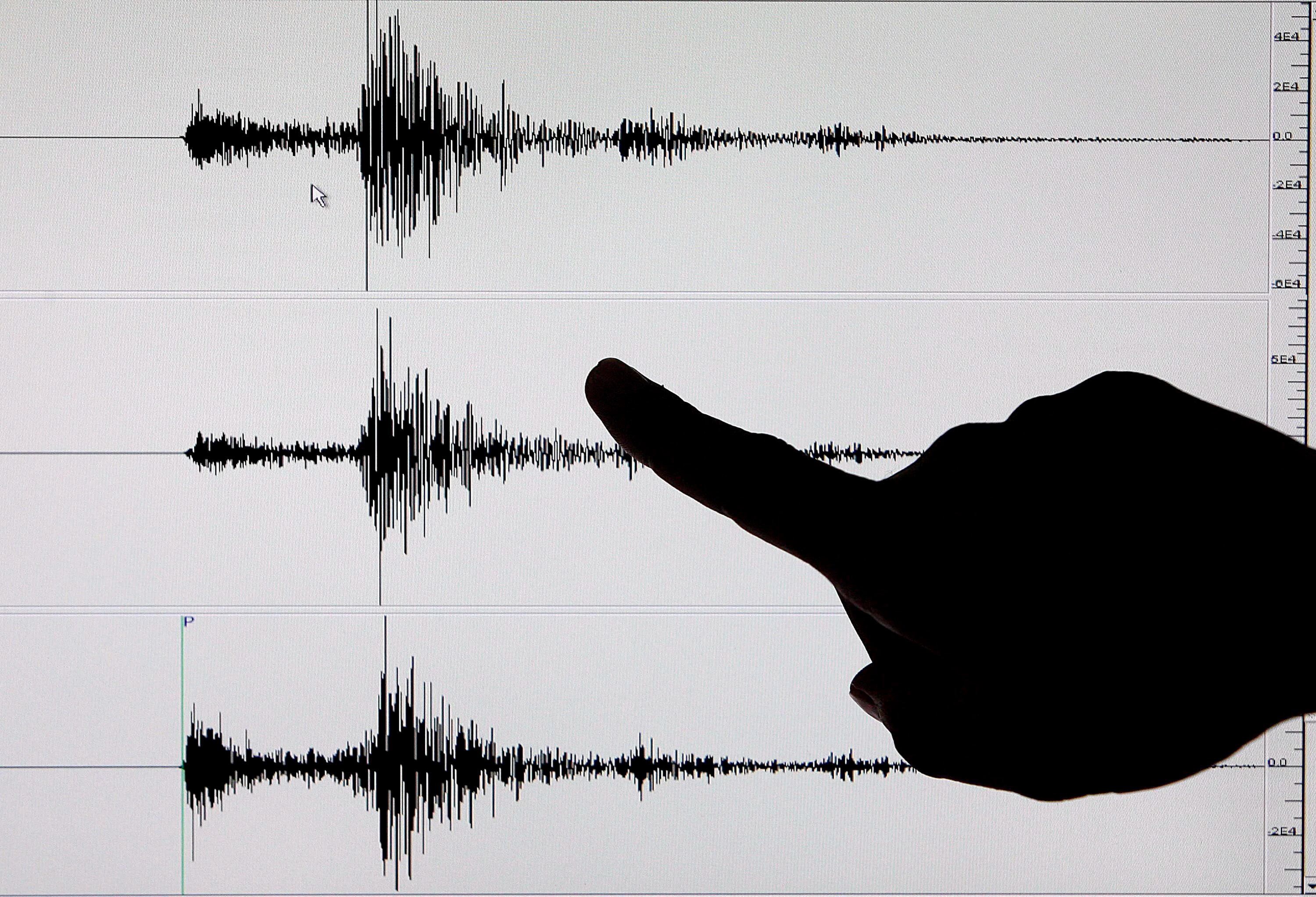 De los sismos registrados, ocho han sido reportados como sentidos por la población y han tenido magnitudes entre 2,6 y 3,5 en la escala de Richter. En la imagen un registro de archivo de la pantalla de un sismógrafo digital. EFE/Alanah Torralba
