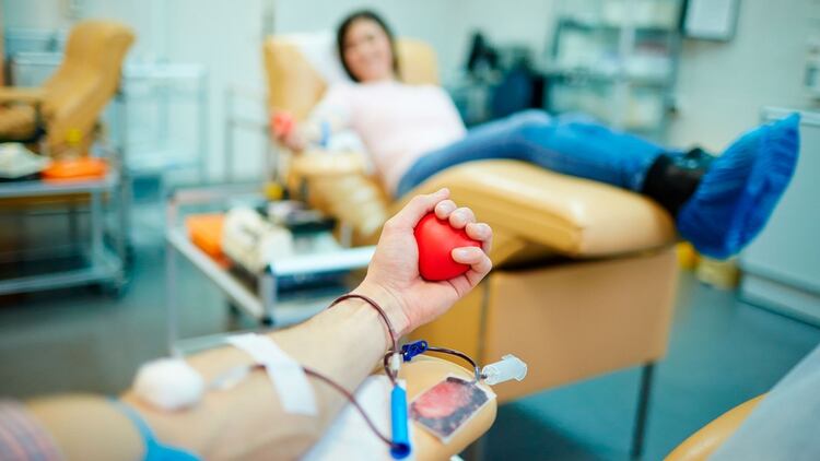 En la Argentina se necesitan más de 4 mil transfusiones por día (Shutterstock)