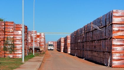 La construcción será uno de los sectores críticos incluidos en la primera etapa del nuevo sistema de monitoreo.         