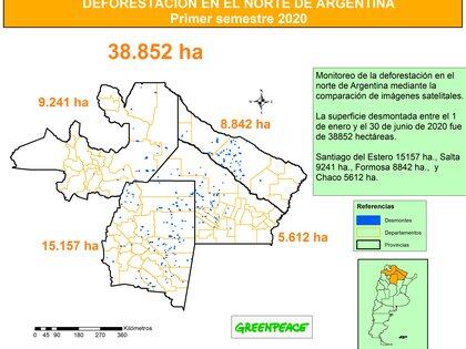 El mapa de las cuatro provincias del norte argentino que reveló Greenpeace