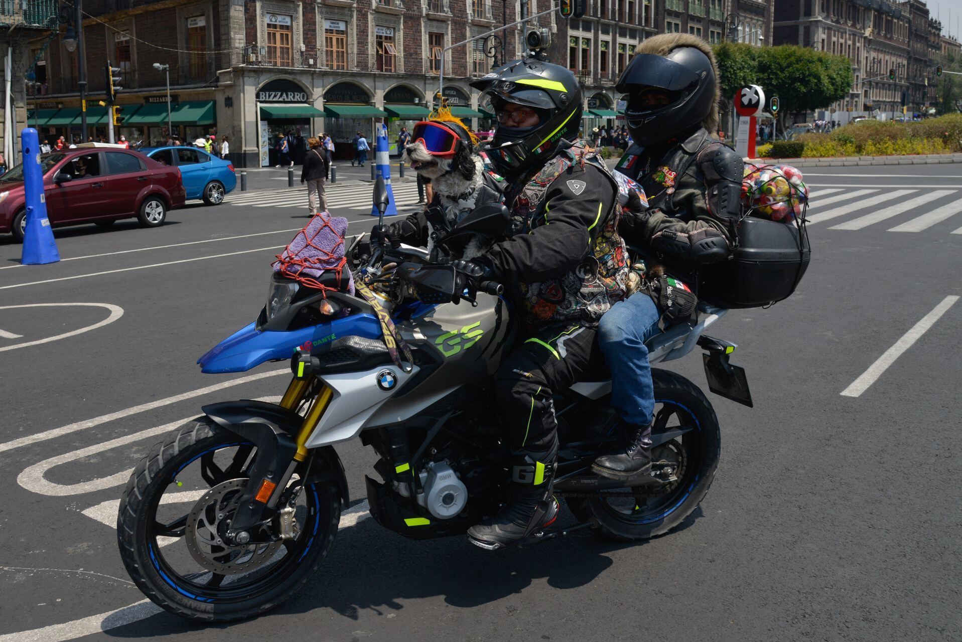En las calles y carreteras de Colombia, actualmente es común que las personas transporten a sus mascotas en moto, principalmente perros - crédito Mario Jasso/Cuartoscuro