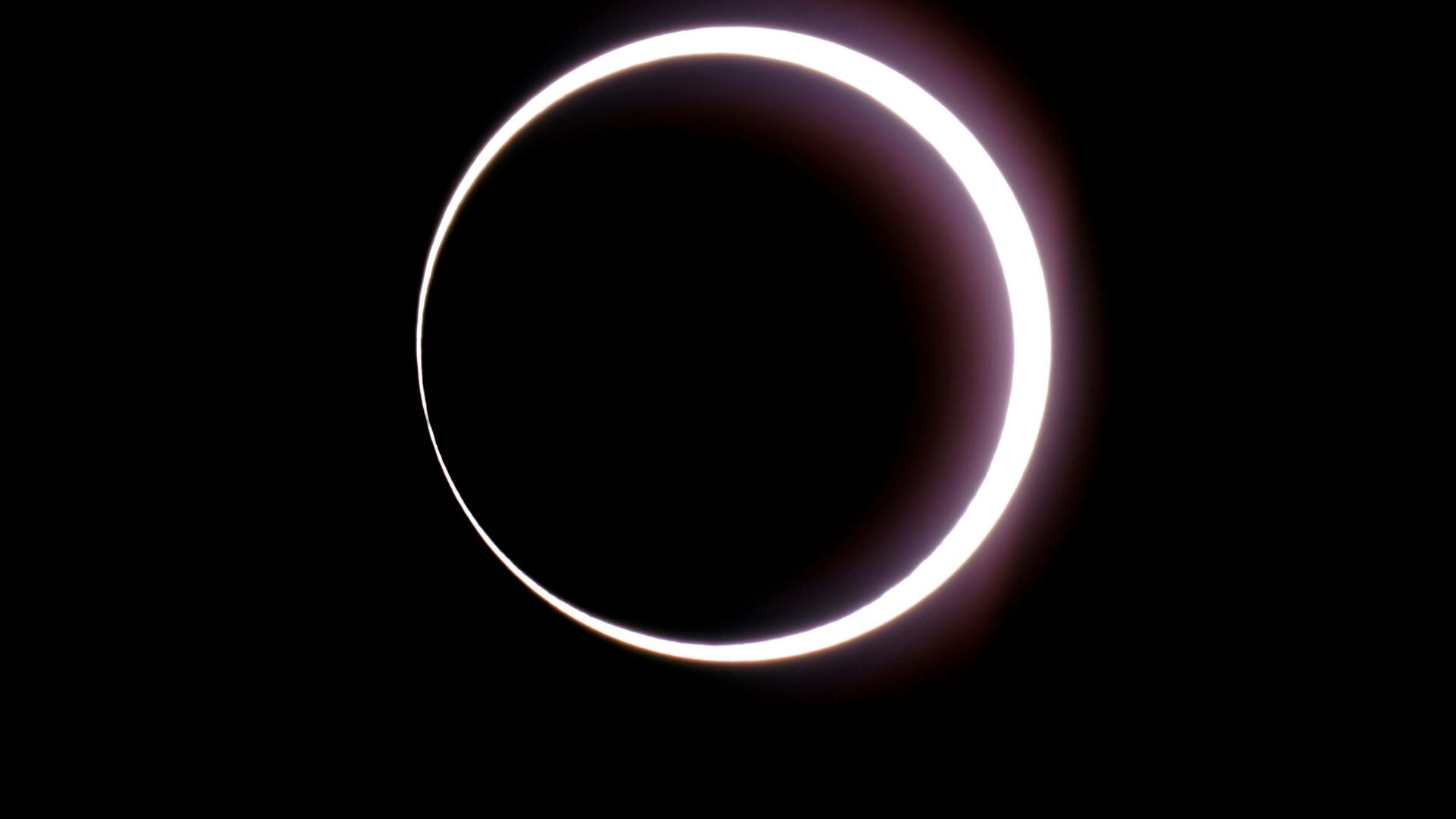 La NASA busca apoyo ciudadano para recopilar información sobre las repercusiones del eclipse solar en la fauna.  (AP Foto/Rick Bowmer, Archivo).