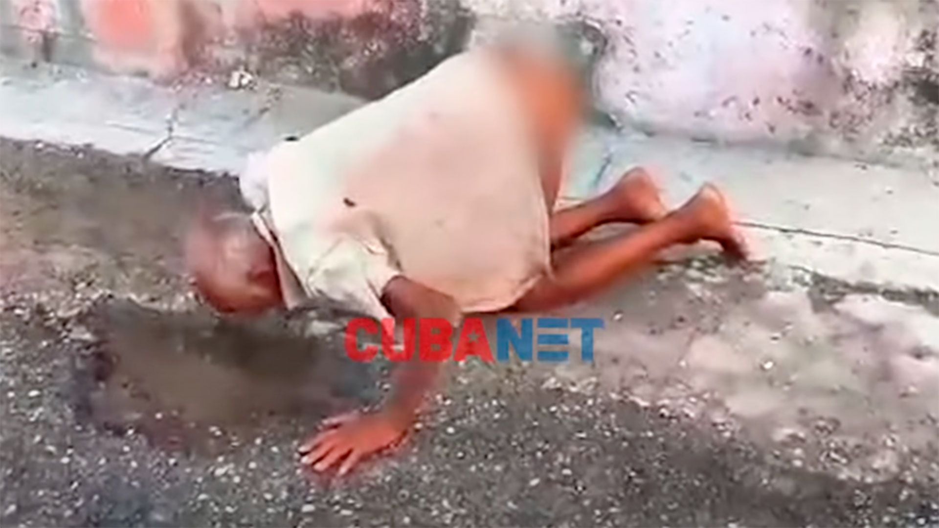 Una imagen que dice más que mil palabras: el drama del hambre en Cuba (Observatorio Cubano de Conflictos)