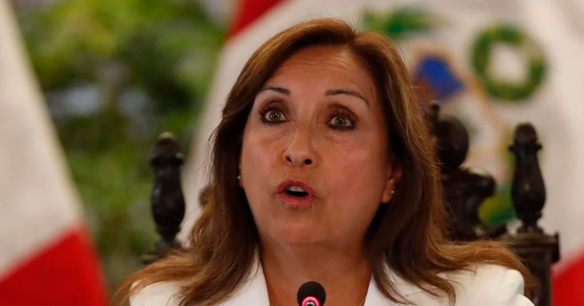 Purple Party reveals Dina Boluarte told them she would rule Peru until 2026