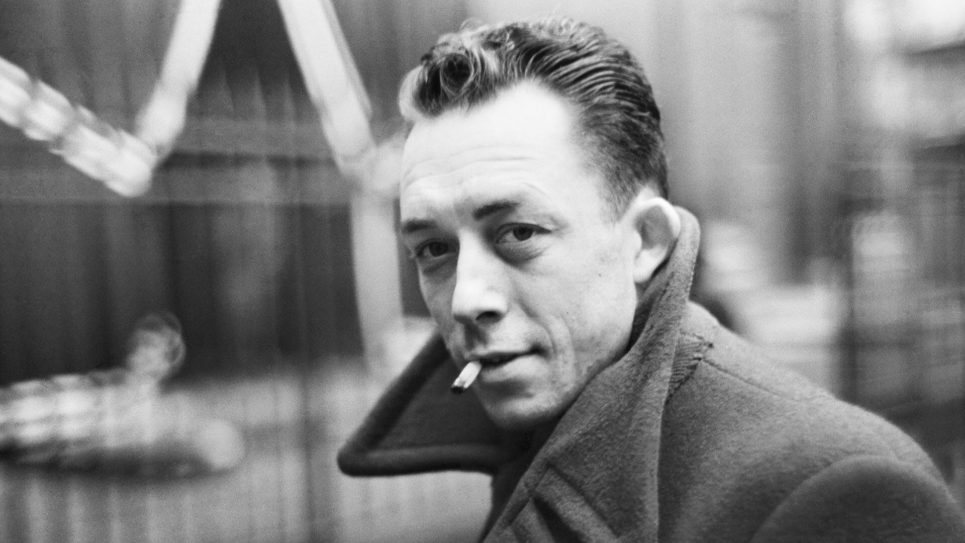 Releyendo La Peste De Albert Camus Servindi Servicios De