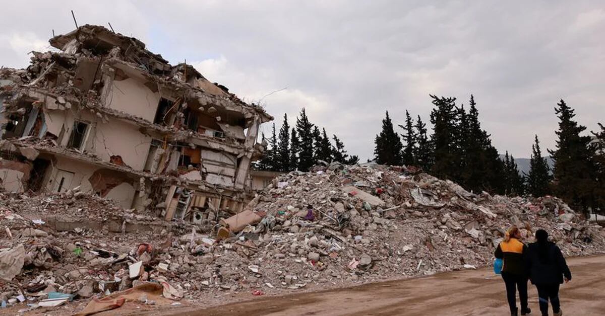 Turkey investigates construction companies after earthquake