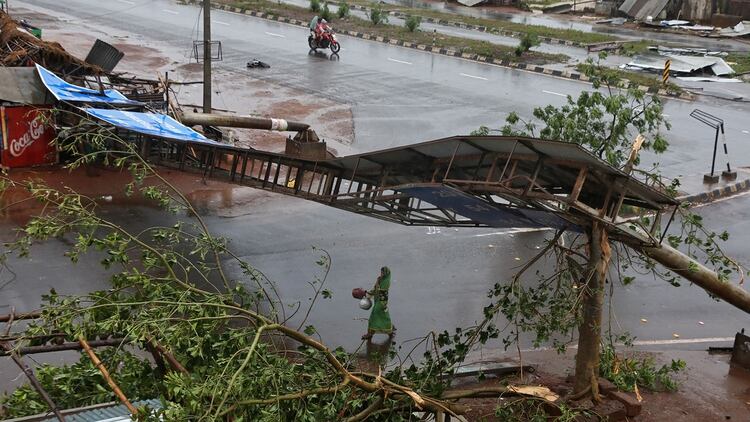 Daños en el distrito Khordha, Odisha  (REUTERS/R Narendra)