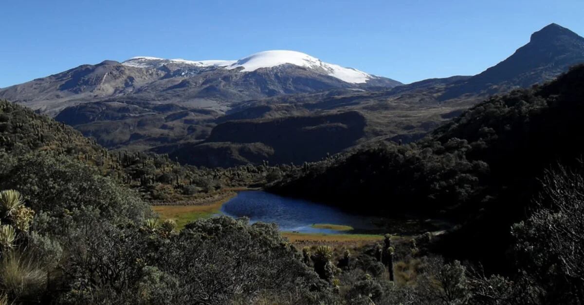 The Nevados National Natural Park is confirmed as subject of rights