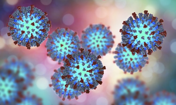 El sarampión es una enfermedad altamente contagiosa causada por la infección del virus de la familia paramyxoviridae del género Morbillivirus, que en ausencia de vacunación afecta principalmente a niños, pero también pueden infectarse personas de cualquier edad no inmunizadas (Shutterstock)
