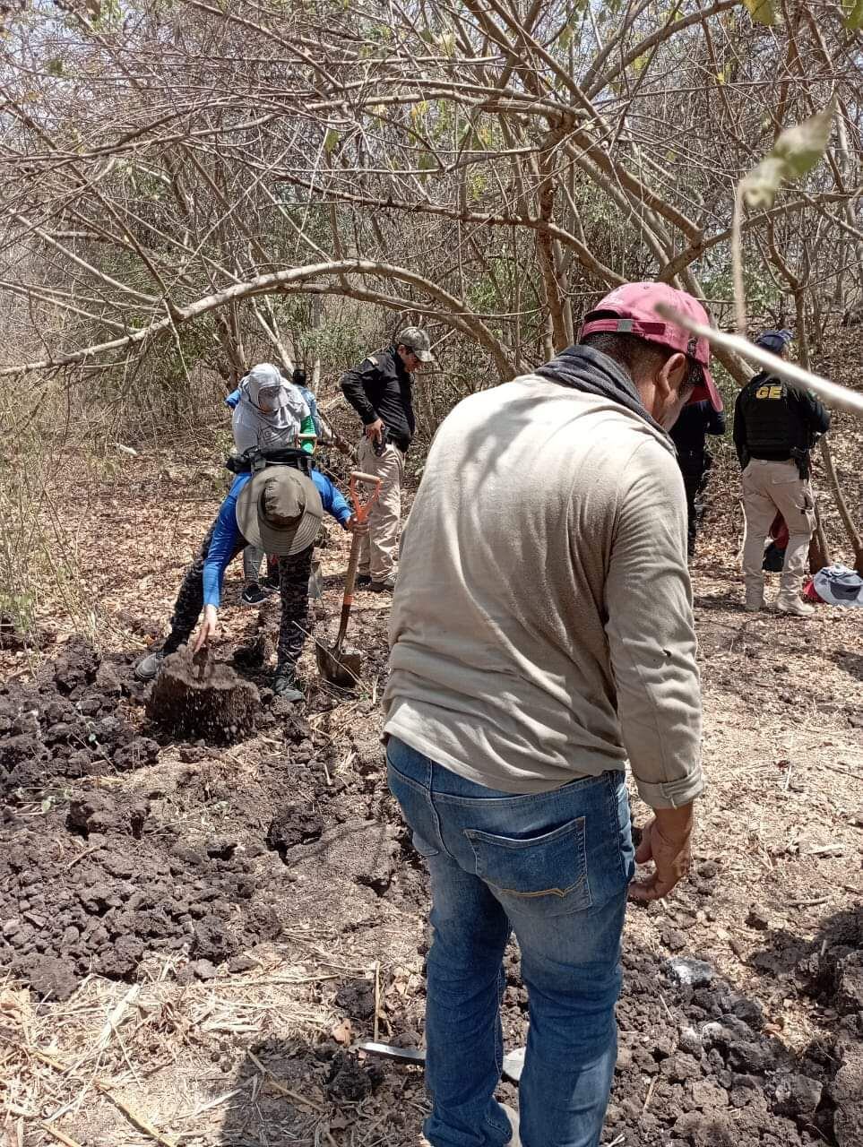 Parte de los restos encontrados en Colima corresponden a personas que fallecieron hace tres años aproximadamente (Foto: Fiscalía de Colima)