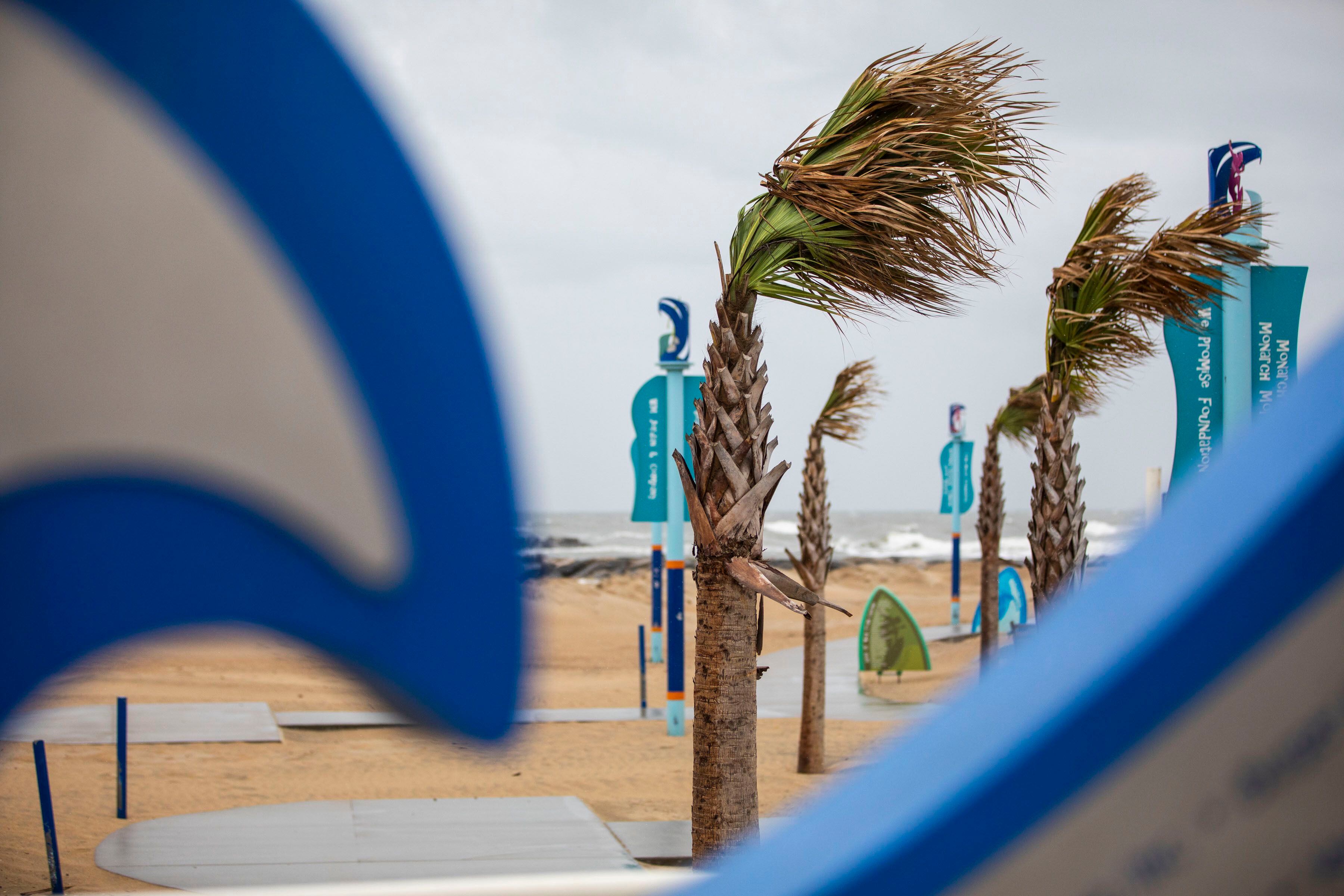 El viento mueve la copa de las palmeras en Virginia Beach, Virginia. (Kendall Warner/The Virginian-Pilot vía AP)