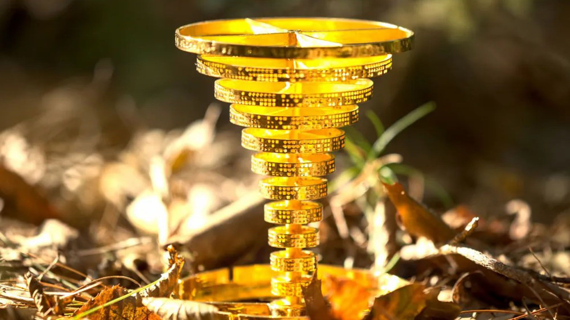 Un cazador de tesoros acaba de descubrir el premio de 100.000 dólares escondido en los bosques de Massachusetts - Infobae