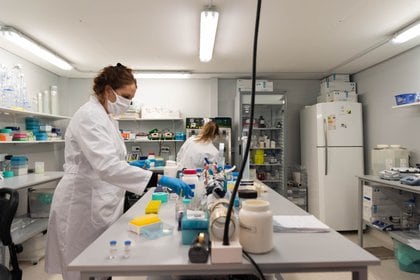 El laboratorio de Inmunova está ubicado en el campus de la Universidad San Martín (Foto: Franco Fafasuli)