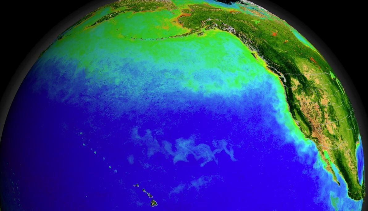 Las corrientes del Océano Pacífico también se verían afectadas con el cambio climático. Las mismas sustentan un ecosistema diverso 