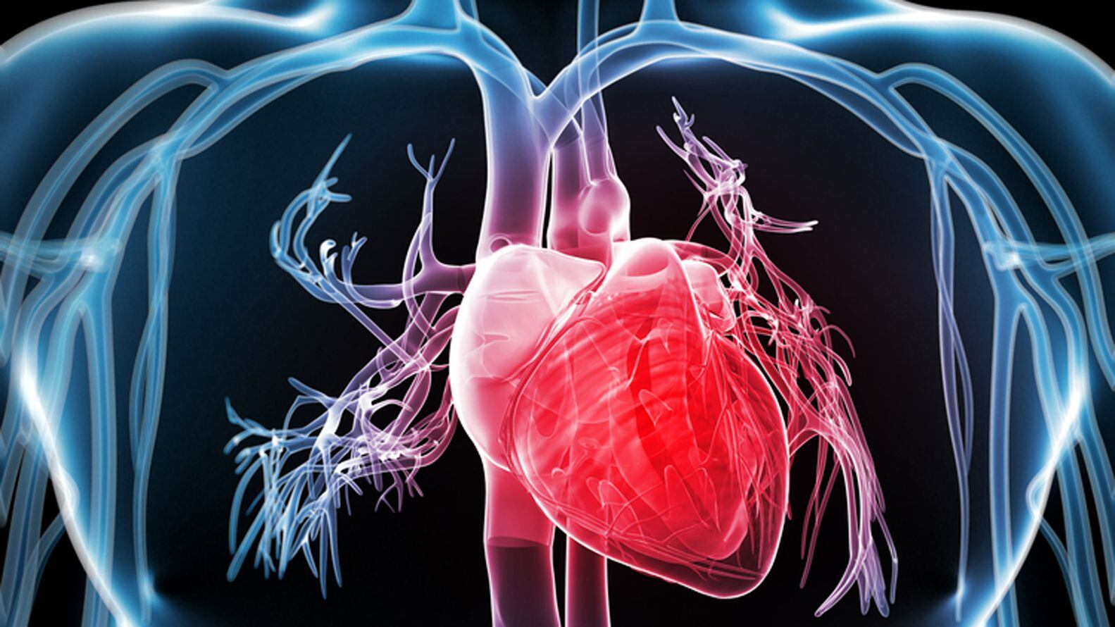 Está comprobado que ayunar favorece el funcionamiento del corazón. Shutterstock 162