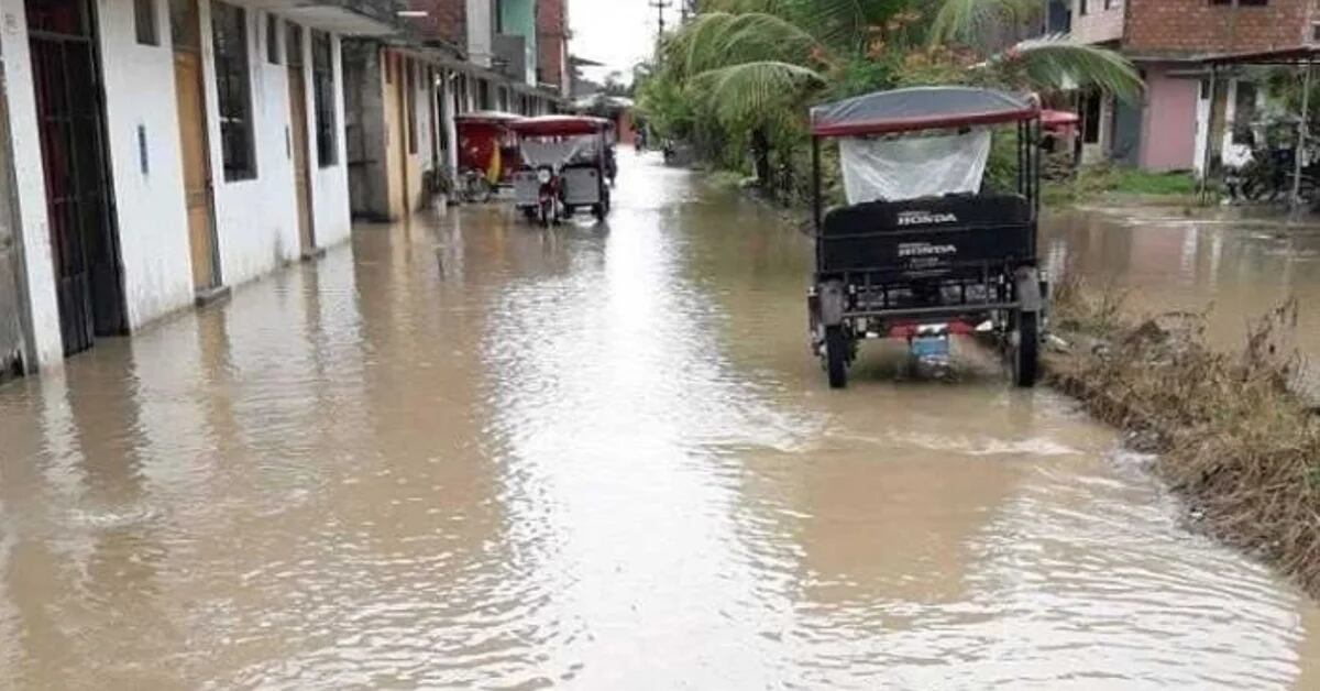 Rains in Peru: alert for intense rains in the jungle regions