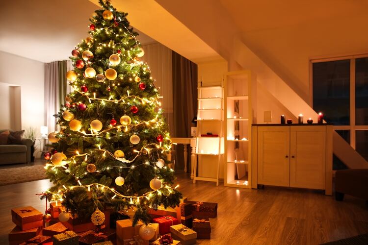Una de ellas razones por la cual se arma el árbol de Navidad es que remite a los germanos, quienes solían “vestir” a los árboles secos y sin hojas del invierno europeo (Shutterstock)