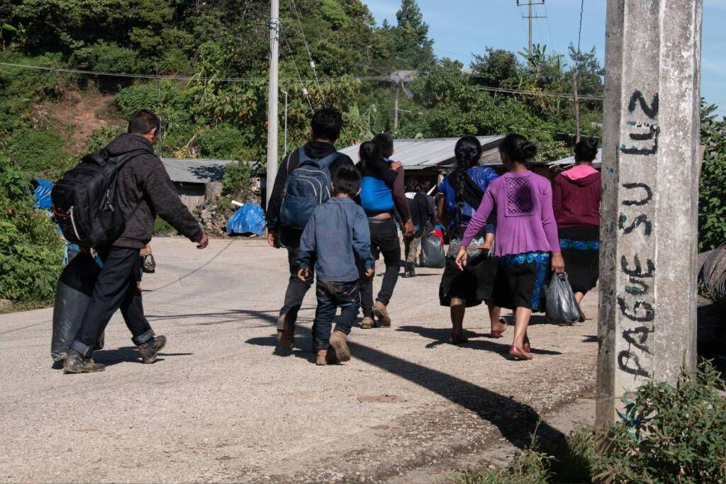 Pantelhó: alrededor de 2000 tsotsiles han sido desplazados por violencia del narco en Chiapas
